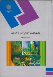 ریخت زایی و اندام زایی در گیاهان